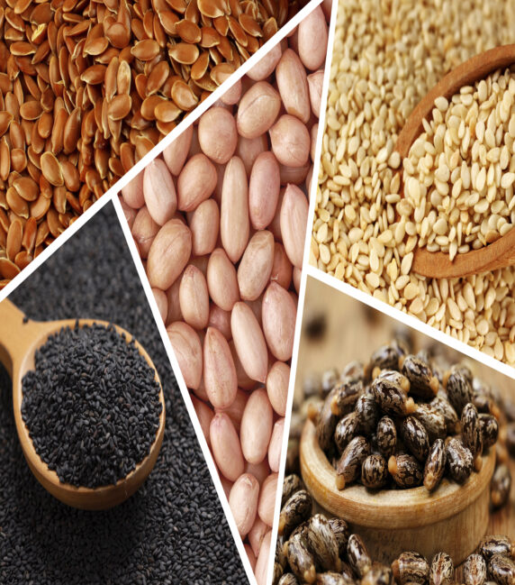 Oil Seeds