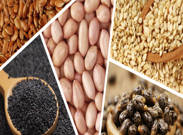 Oil Seeds