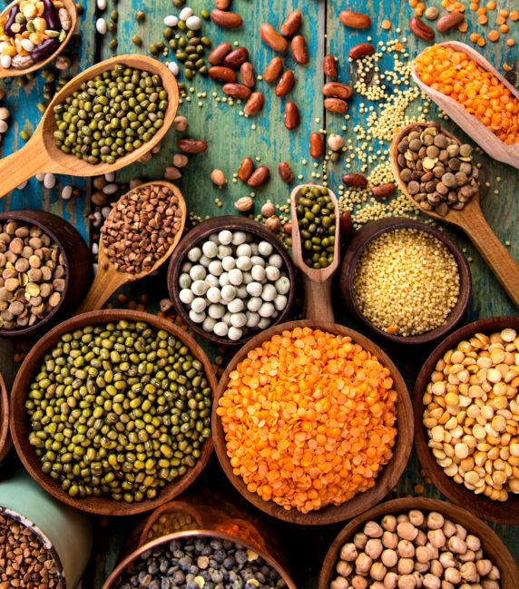 Pulses & Lantils