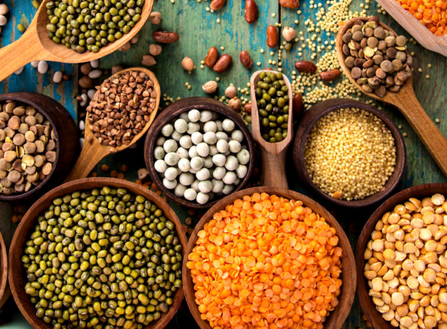 Pulses & Lantils