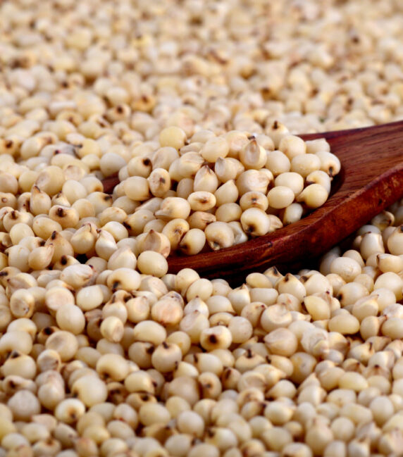 close up of Sorghum with wooden spoon.