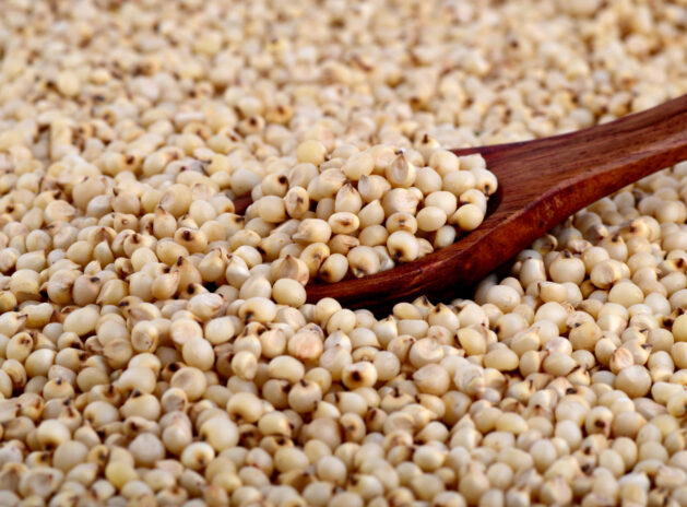 close up of Sorghum with wooden spoon.