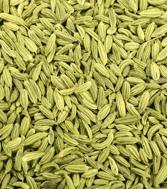 top view of Healthy Fennel Seed or Saunf Indian Traditional Digestive Food and mouth freshner, fennel seeds