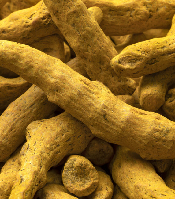 Dried yellowturmeric close up full frame as a background