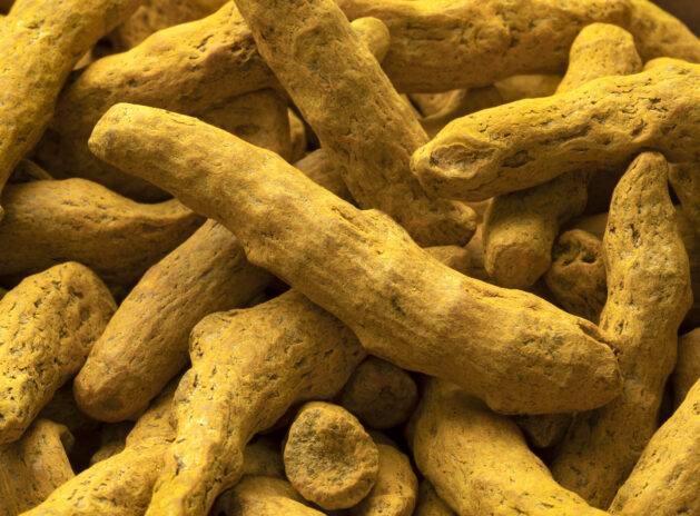 Dried yellowturmeric close up full frame as a background