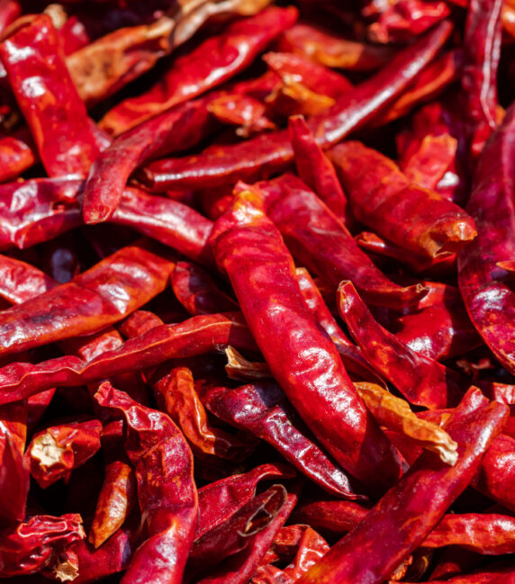 Many red dried peppers, close-up view
