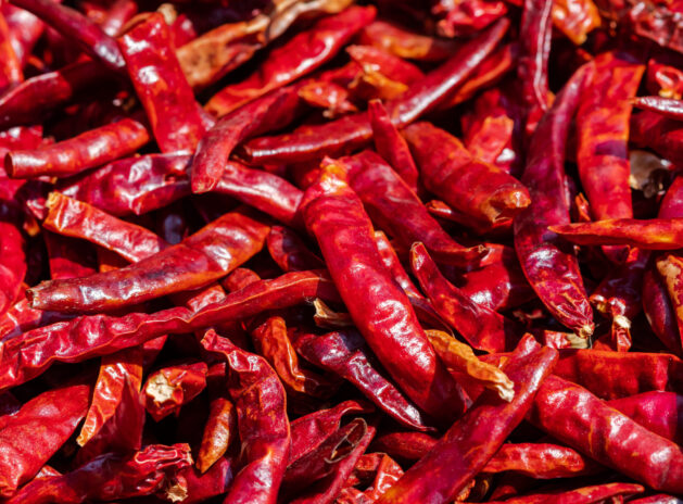 Many red dried peppers, close-up view
