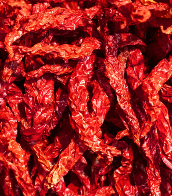 Red asian dried chili peppers bunch background
