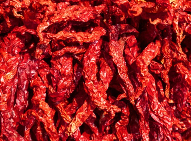 Red asian dried chili peppers bunch background
