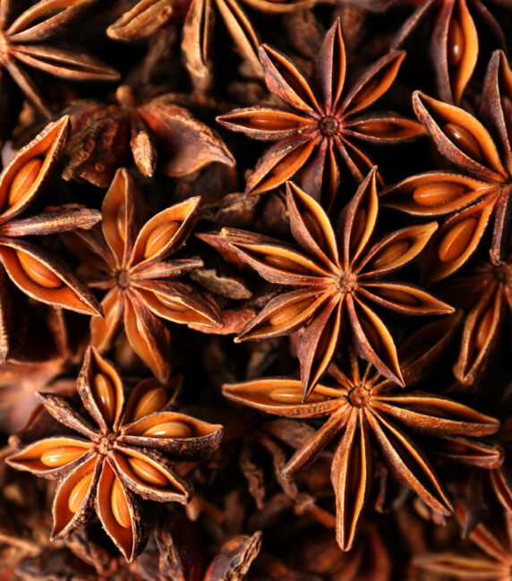 Aromatic anise stars as background, top view