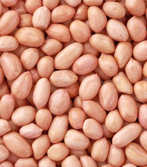 Peanuts are beneficial to the body Peanuts are beneficial to the body