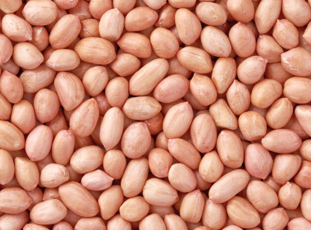 Peanuts are beneficial to the body