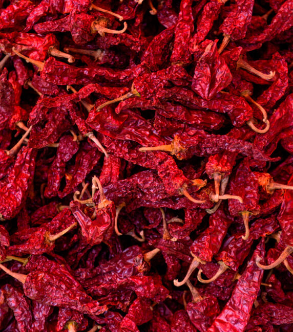 Dried chilies. Background and texture