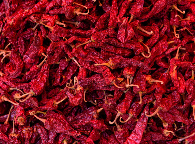 Dried chilies. Background and texture
