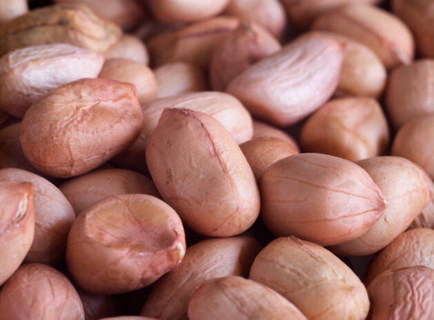 close-up image of peanuts