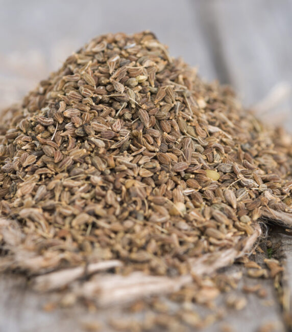 Portion of dried Anissed (detailed close-up shot)