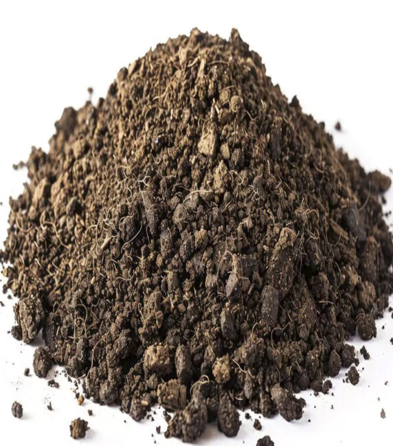 Castor Seeds Meal