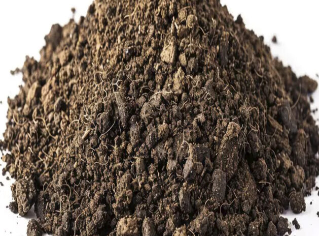 Castor Seeds Meal