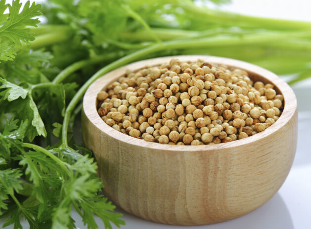 Coriander Seeds