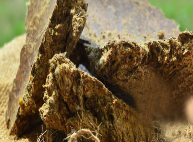 Cotton Seeds Meal
