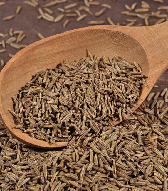 Cumin Seeds