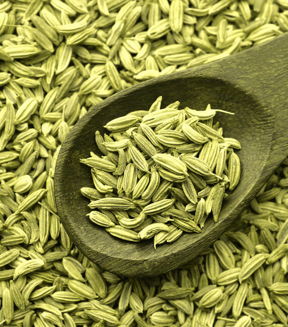 Fennel