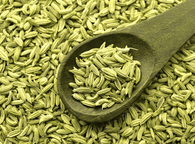 Fennel