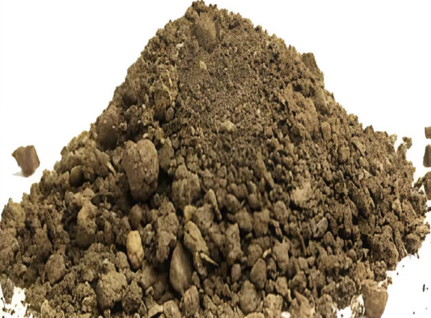 Groudnut Seeds Meal