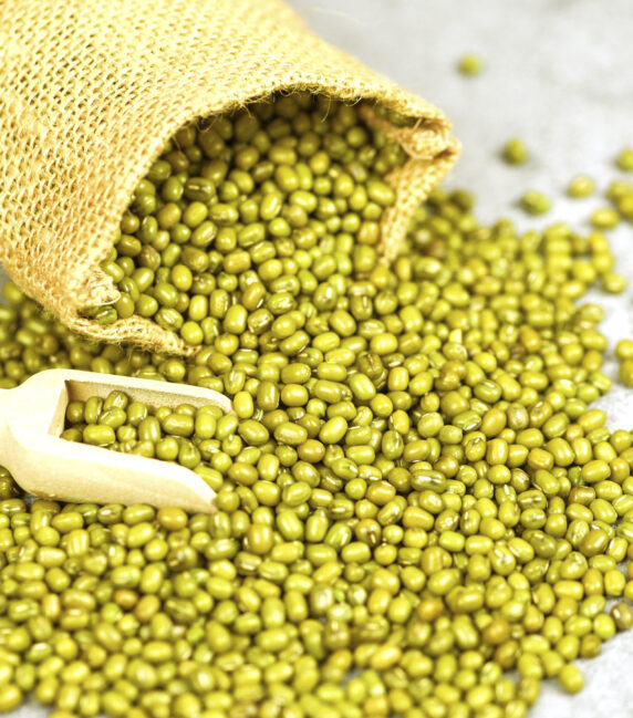 Mung Bean