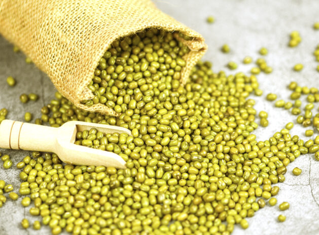 Mung Bean