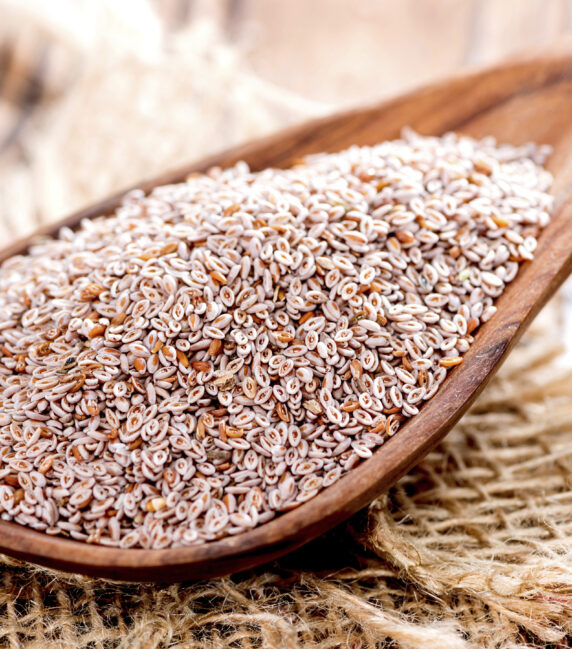 Psyllium Seeds
