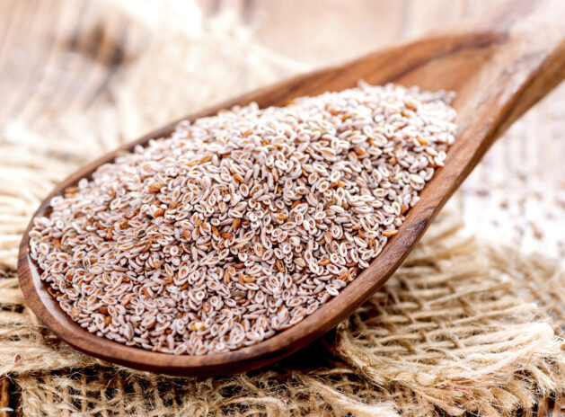Psyllium Seeds
