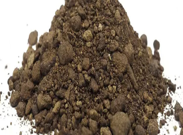 Rapeseeds Meal