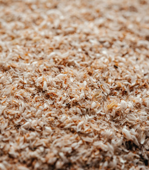 Psyllium husk dietary fiber supplement close-up Psyllium husk dietary fiber supplement close-up, soluble fiber of psyllium to treat irritable bowel syndrome, constipation and diarrhea, healthy eating supplements and superfood