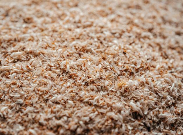 Psyllium husk dietary fiber supplement close-up, soluble fiber of psyllium to treat irritable bowel syndrome, constipation and diarrhea, healthy eating supplements and superfood